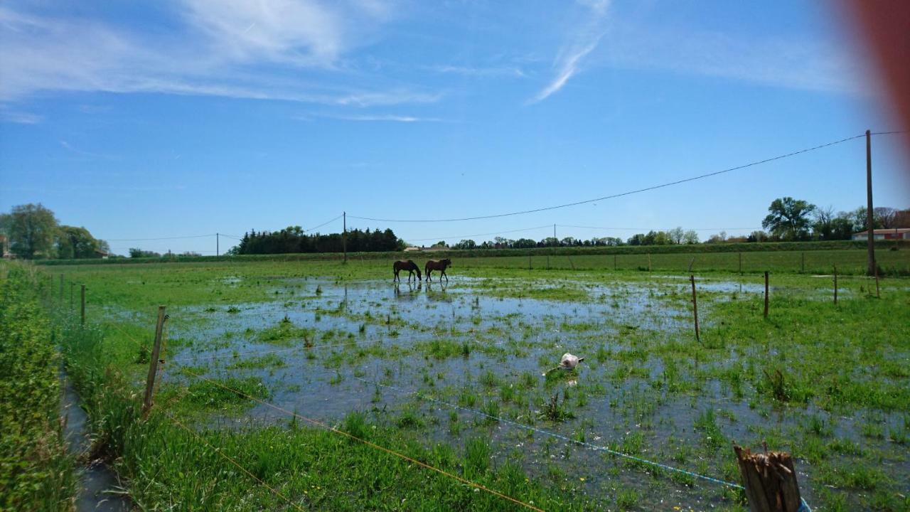 马斯鲁草原乡村民宿 Raphèle 外观 照片
